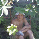 Евгений, 49