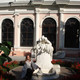 катя карне, 54