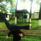 Азиз, 39