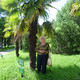 екатерина, 76