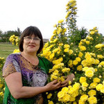 Рима, 65